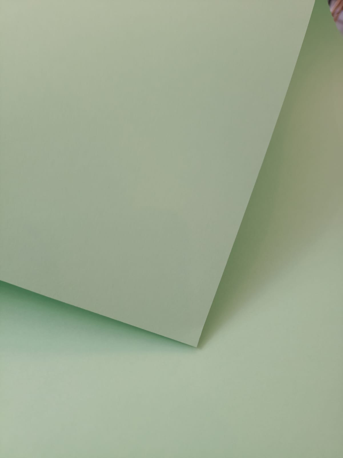 Cart. Fabriano "Colore Iris" 185 grs 50x65 cm Verde Palido 18