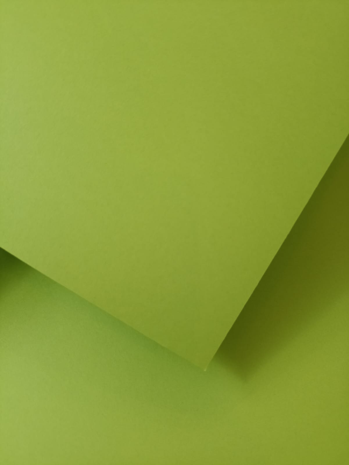 Cart. Fabriano "Colore Iris" 185 grs 50x65 cm Verde Lima 19
