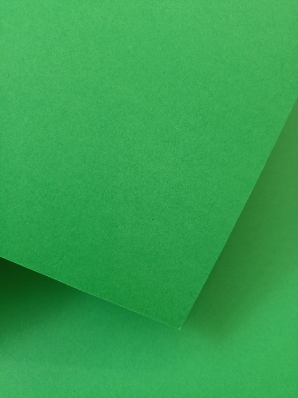 Cart. Fabriano "Colore Iris" 185 grs 50x65 cm Verde Intenso 21