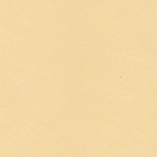 Cartulina Manila Folder 70X95 cm 240 gr = 160 Kg