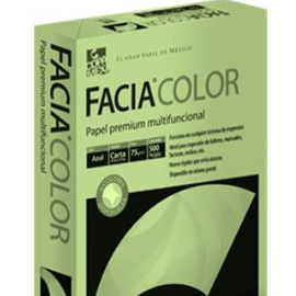 Facia Color Verde - Carta