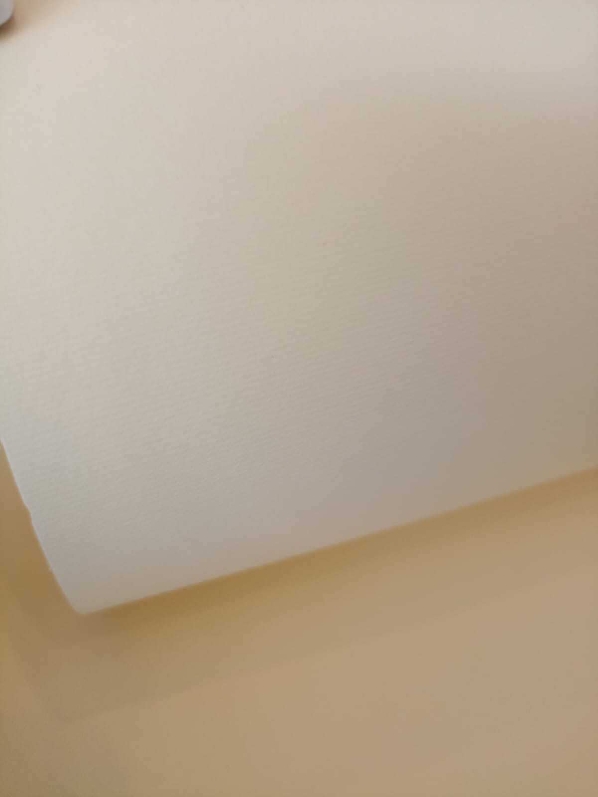 Cartulina Novart (Elle Erre) Marfil Onix 50X70 cm 220 gr