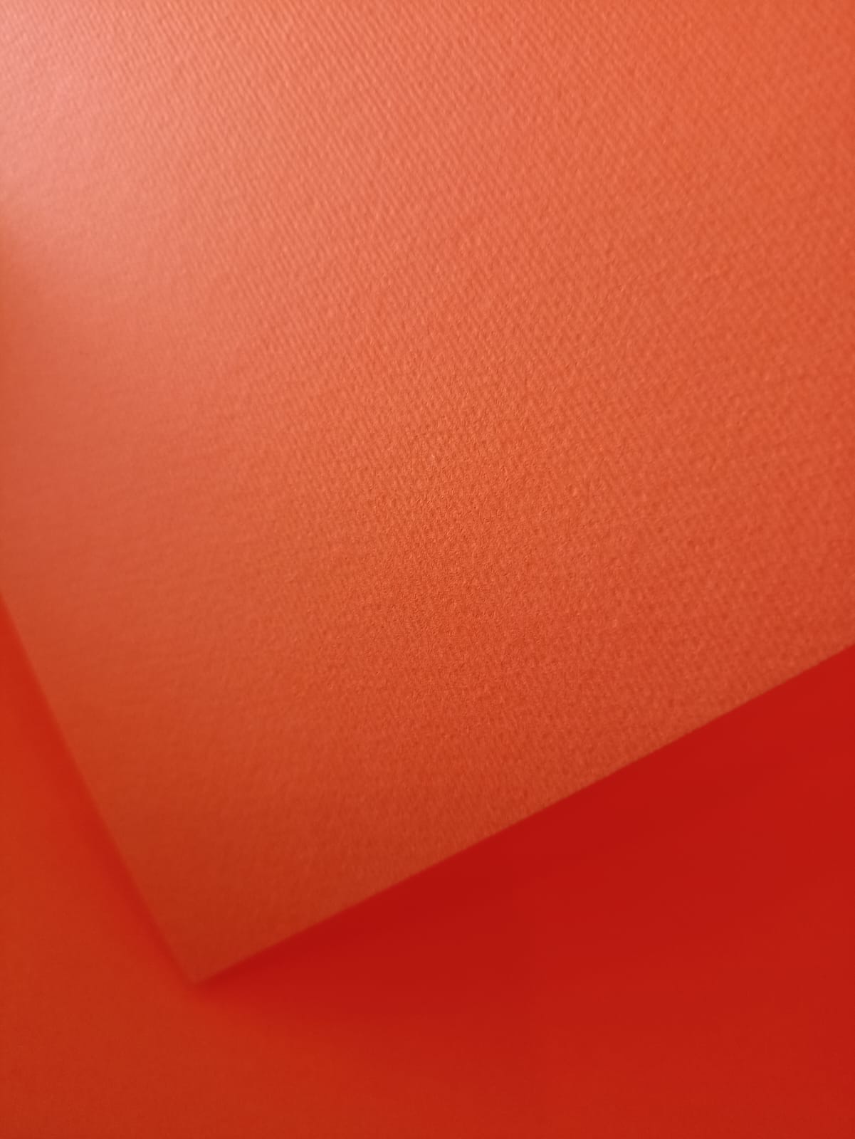 Cartulina Novart (Elle Erre) Langosta-Aragosta 50X70 cm 220 gr