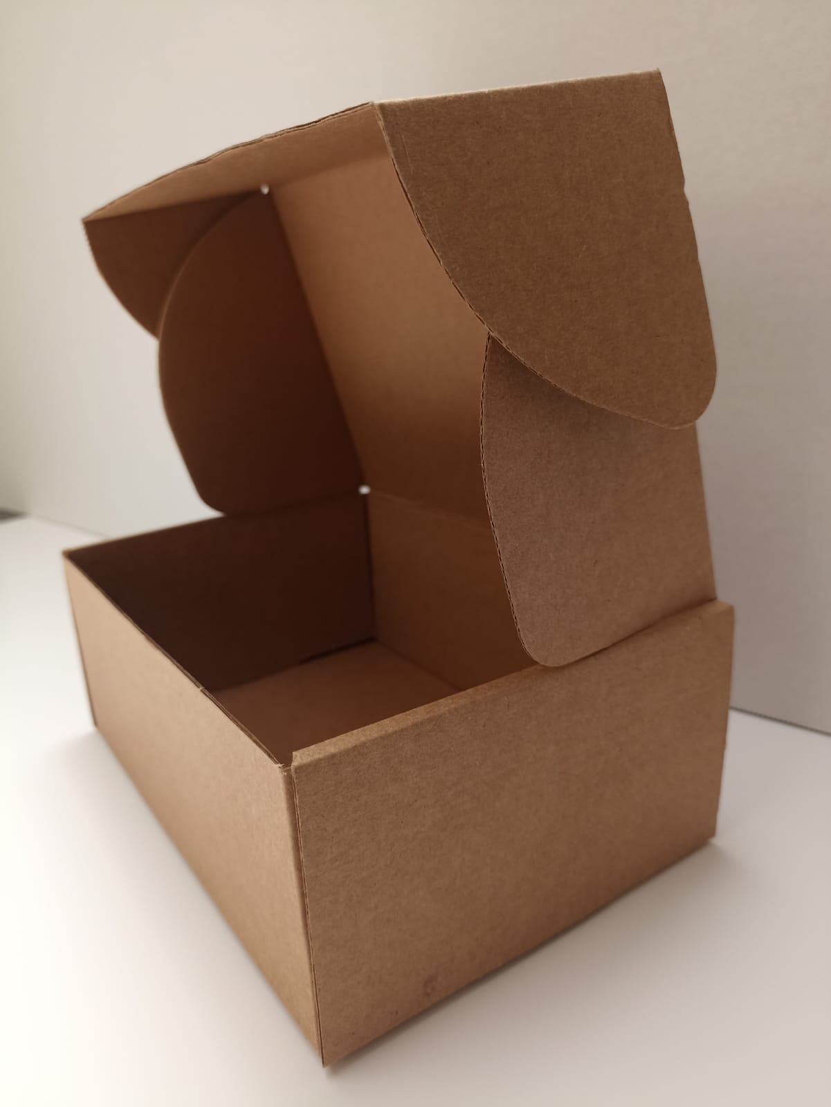 CAJA KRAFT LEON 20X14X8CM
