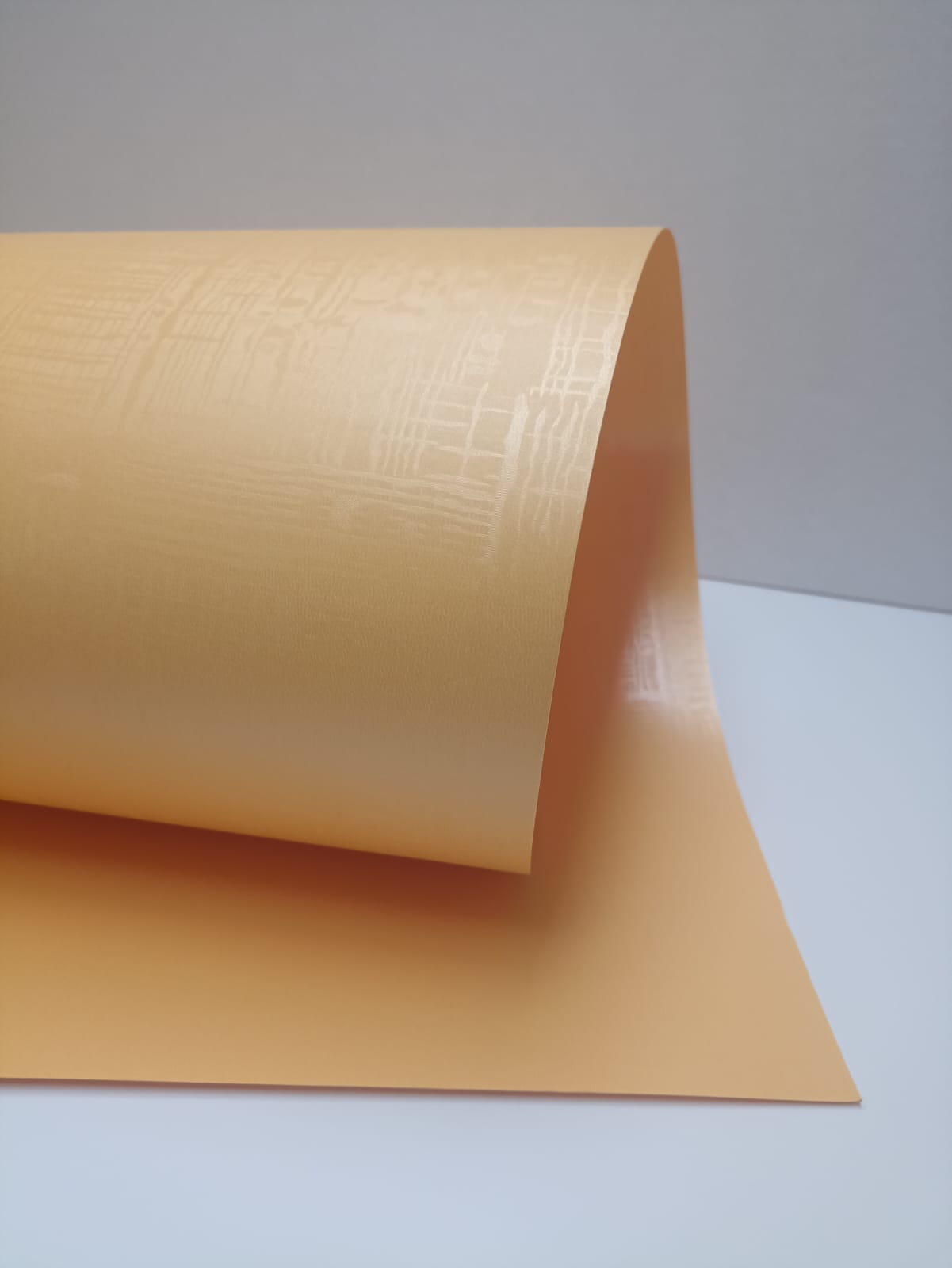 Cart. Metálica "M" Hong-Kong Oro 58X89 240G