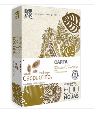 Capuchino 100% Reciclado 75 gr. - Carta p/500hj