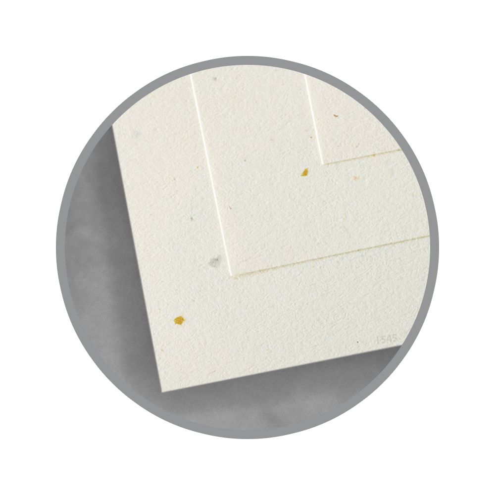 Papel Environ Tortilla Marfil 58X89 cm 118 gr