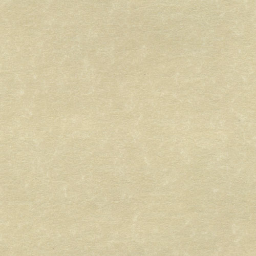 Cartulina Pergamino Nube cafe claro 58X89 176g