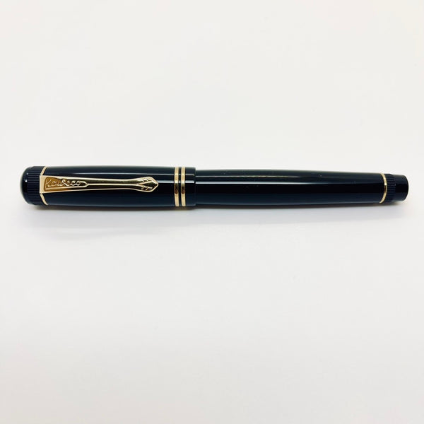 Pluma fuente KAWECO DIA2 Black gold