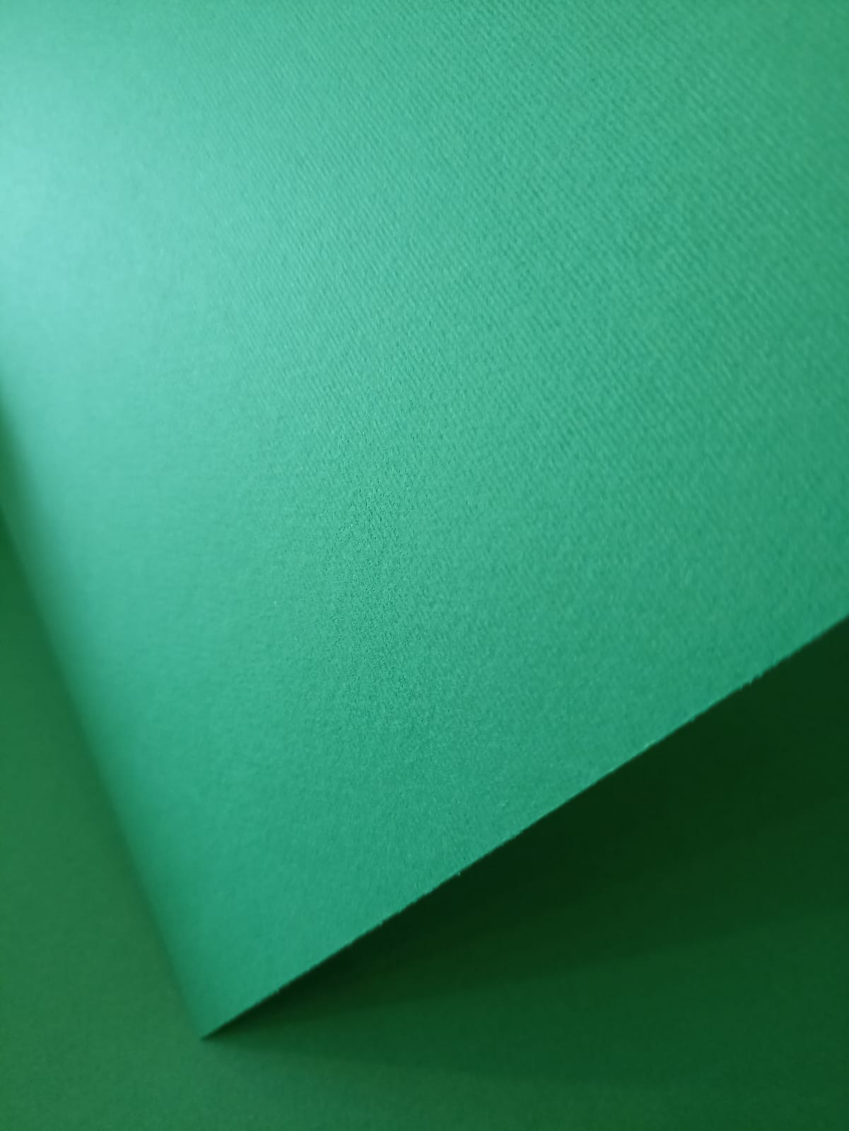 Cartulina Novart (Elle Erre) Color Verde Obscuro (Verde) 50X70 cm 220 ...