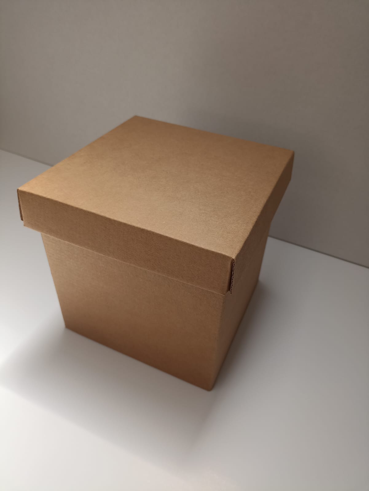 Caja de Kraft Cubo con tapa 20X20X20 cm